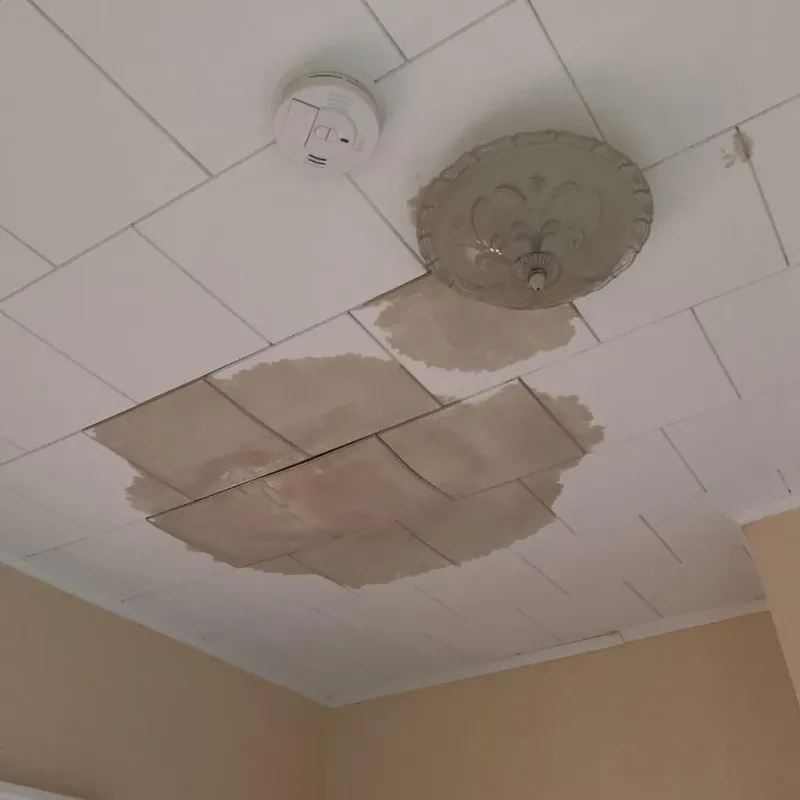 Ceiling Water Damage Repair in Northeast Ithaca, NY