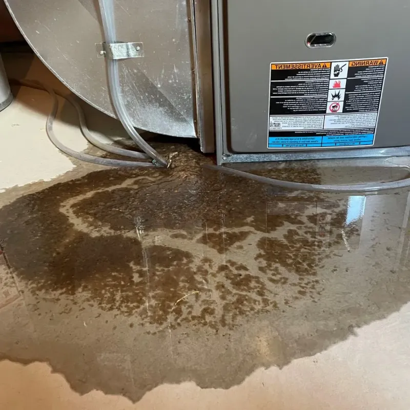 Pipe Burst and Leak Restoration in Northeast Ithaca, NY